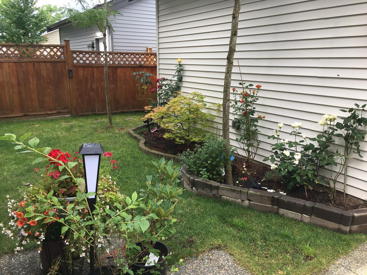 Albion Stay Maple Ridge Exterior foto
